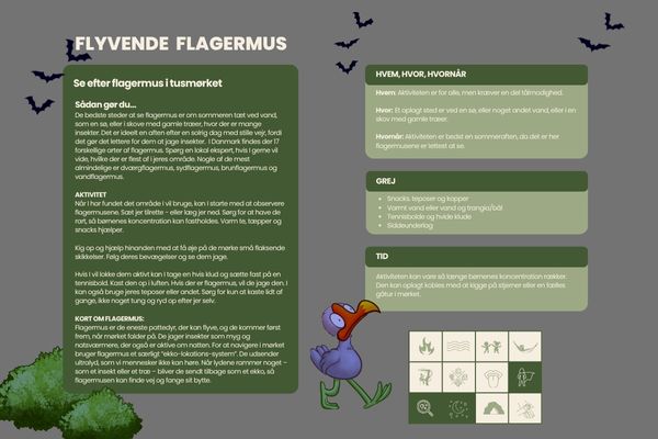 Flyvende flagermus